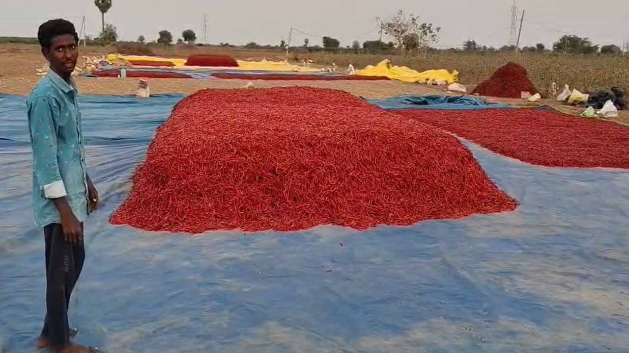 బాబోయ్ మీరేం మనుషులురా..! అన్నదాత కష్టార్జితాన్ని కూడా వదిలి పెట్టరా..!