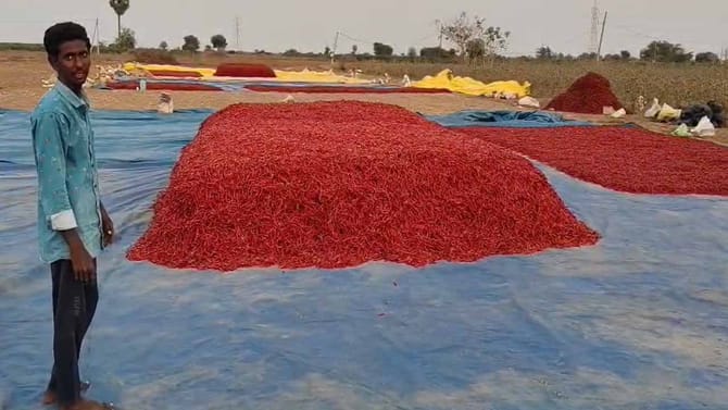 బాబోయ్.. ఎంతకు తెగించార్రా..!