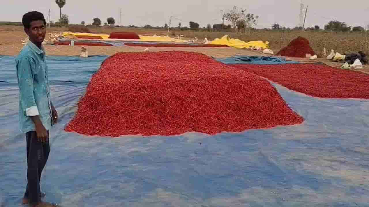 బాబోయ్ మీరేం మనుషులురా..! అన్నదాత కష్టార్జితాన్ని కూడా వదిలి పెట్టరా..!