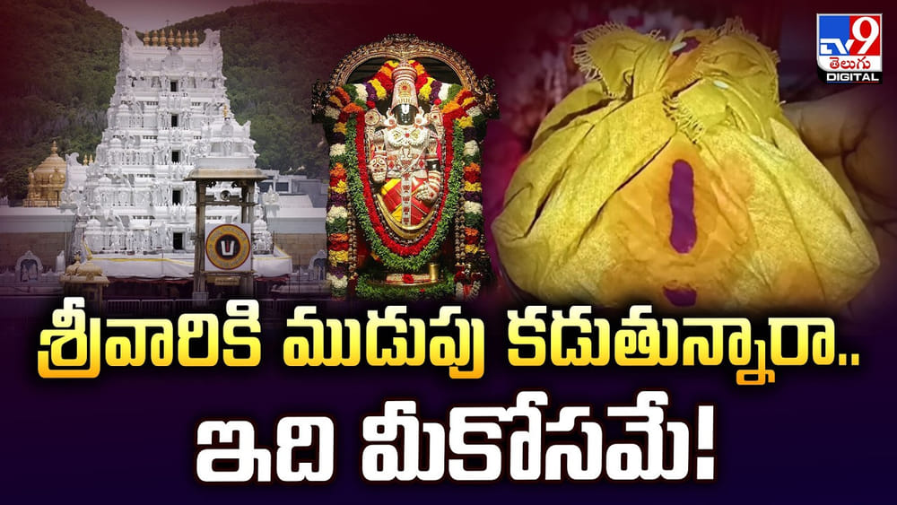 TTD: శ్రీవారికి ముడుపు కడుతున్నారా.. అయితే ఈ విషయాలు తెలుసుకోండి