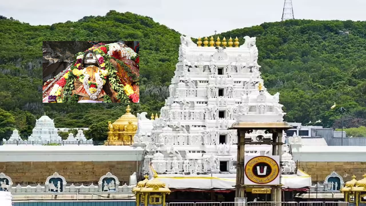 కలియుగంలో భక్తులకు ప్రత్యక్ష దైవంగా భావించబడే శ్రీ వేంకటేశ్వర స్వామి వెలసిన పవిత్ర స్థలం తిరుమల. ఈ పుణ్యక్షేత్రం “కలియుగ వైకుంఠం”గా విశేష ఖ్యాతిని పొందింది. ప్రపంచ నలుమూలల నుంచి లక్షలాది మంది భక్తులు ప్రతి రోజు ఈ పవిత్ర క్షేత్రానికి వచ్చి స్వామివారిని దర్శించుకుంటూ తమ జీవితాలను ధన్యంగా భావిస్తారు. “నిత్యకళ్యాణం పచ్చతోరణం” అనే మాటకు సాక్ష్యంగా, ఈ క్షేత్రంలో ఎల్లప్పుడూ మంగళకరమైన వాతావరణం   నెలకొని ఉంటుంది. భక్తుల నమ్మకాల ప్రకారం ఇక్కడ జరిగే ప్రతి ఉత్సవం, ప్రతి సేవ ప్రత్యేకమైన ఆధ్యాత్మిక శక్తిని ప్రసరిస్తుంది. 
