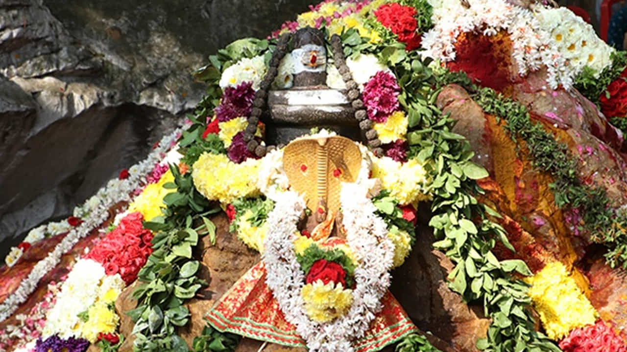 తిరుమల క్షేత్రం అనేది కేవలం ఒక ఆలయం మాత్రమే కాదు; అది అనేక ఆధ్యాత్మిక రహస్యాలు, పురాణ గాథలు, విశేష సంప్రదాయాలు నిండిన దివ్యస్థలం. ఇక్కడ ప్రతి రాయి, ప్రతి కొండ, ప్రతి తీర్థం వెనుక ఒక కథ ఉంది. అలాంటి ఈ పవిత్ర క్షేత్రాన్ని ఎల్లప్పుడూ రక్షిస్తూ కాపాడే ఒక ప్రత్యేక శక్తి ఉందని పురాణాలు చెబుతాయి. ఆ శక్తిని “క్షేత్రపాలకుడు” అని అంటారు. క్షేత్రపాలకుడు అనగా ఆ ఆలయం లేదా పుణ్యక్షేత్రాన్ని రక్షిస్తూ, అక్కడి పవిత్రతను కాపాడే దైవశక్తి. మరి తిరుమల క్షేత్రానికి క్షేత్రపాలకుడిగా ఎవరు ఉన్నారు? ఆ విశేషాలు ఏమిటో తెలుసుకుందాం.
