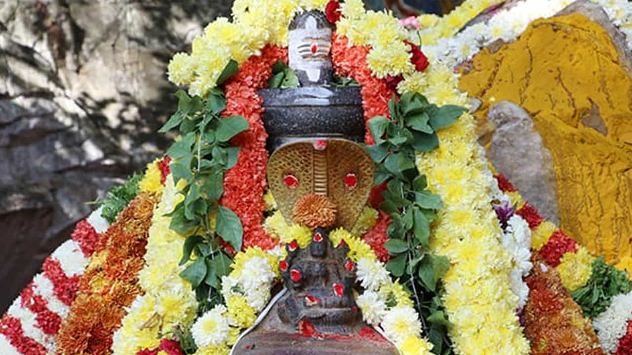 
గోగర్భంలో పూర్ణ స్వరూపం..

ప్రస్తుతం క్షేత్రపాలక శిల పూర్ణ స్వరూపంలో గోగర్భ తీర్థం (పాండవ తీర్థం) వద్ద ఉంది. అలాగే దాని అంశ స్వరూపం తిరుమల శ్రీవారి ఆలయంలో ధ్వజస్తంభ మండపంలో దర్శనమిస్తుంది. భక్తులు ఆనందనిలయంలో ఈ అంశ స్వరూపాన్ని దర్శించవచ్చు.
