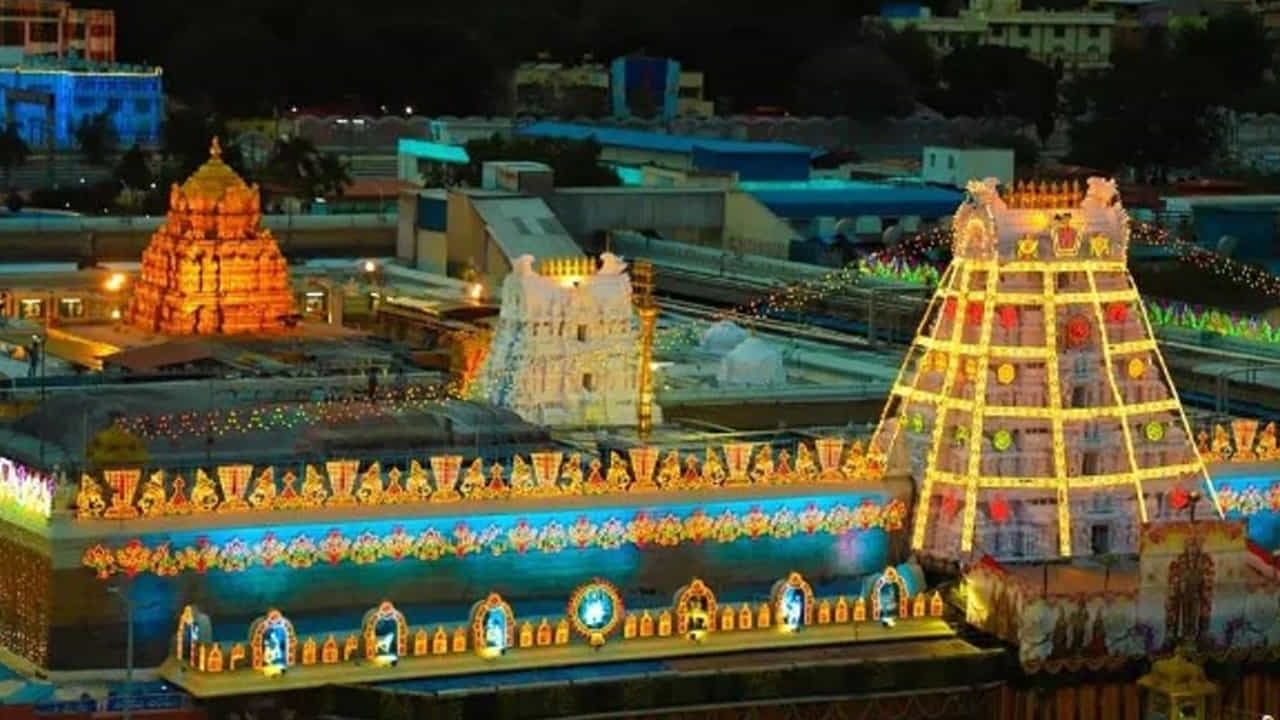
మహాశివరాత్రి రోజున ప్రత్యేక అభిషేకం..

ప్రతి సంవత్సరం మహాశివరాత్రి రోజున అర్చకులు, ఆలయ అధికారులు, భక్తులు మంగళవాయిద్యాలతో గోగర్భ తీర్థానికి వెళ్తారు. అక్కడ ఏకాదశ రుద్రంతో క్షేత్రపాలకుడైన రుద్రునికి శాస్త్రోక్తంగా అభిషేకం నిర్వహిస్తారు. అనంతరం ఆ శిలకు వెండి నామాలు, కండ్లు అమర్చి పుష్పాలతో అలంకరిస్తారు. ధూపదీపాలతో అర్చనలు చేసి వడపప్పు, పండ్లు, పానకం వంటి నైవేద్యాలను సమర్పించి భక్తులకు ప్రసాదంగా పంచుతారు.
