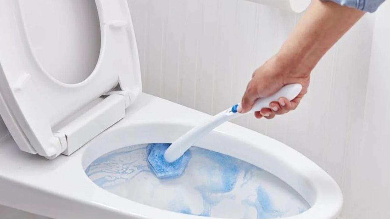 ఏ పేస్ట్ వాడాలి: అయితే ఇక్కడ చాలా మందికి ఒక డౌట్ వస్తుంది. టాయిలెట్ క్లీనింగ్‌లో ఏ పేస్ట్ వాడాలి అని. అయితే మీరు ఎల్లప్పుడూ వైట్ కలర్ పేస్ట్‌ను వాడేందుకు ప్రయత్నించండి. ఇలా రంగులేని తెల్లటి పేస్ట్‌ల తయారీలో ఎక్కువగా క్యాల్షియం కార్బోనేట్ లేదా సిలికా ఉంటాయి. ఇవి టాయిలెట్ సీటుపై ఉన్న మరకలను తొలగించడంలో చాలా ప్రభావవంతంగా పనిచేస్తాయి. ఈ టిప్స్ పాటిస్తే తక్కువ ఖర్చుతోనే మీరు సింపుల్‌టా టాయిలెట్ క్లిన్ చేసుకోవచ్చు.