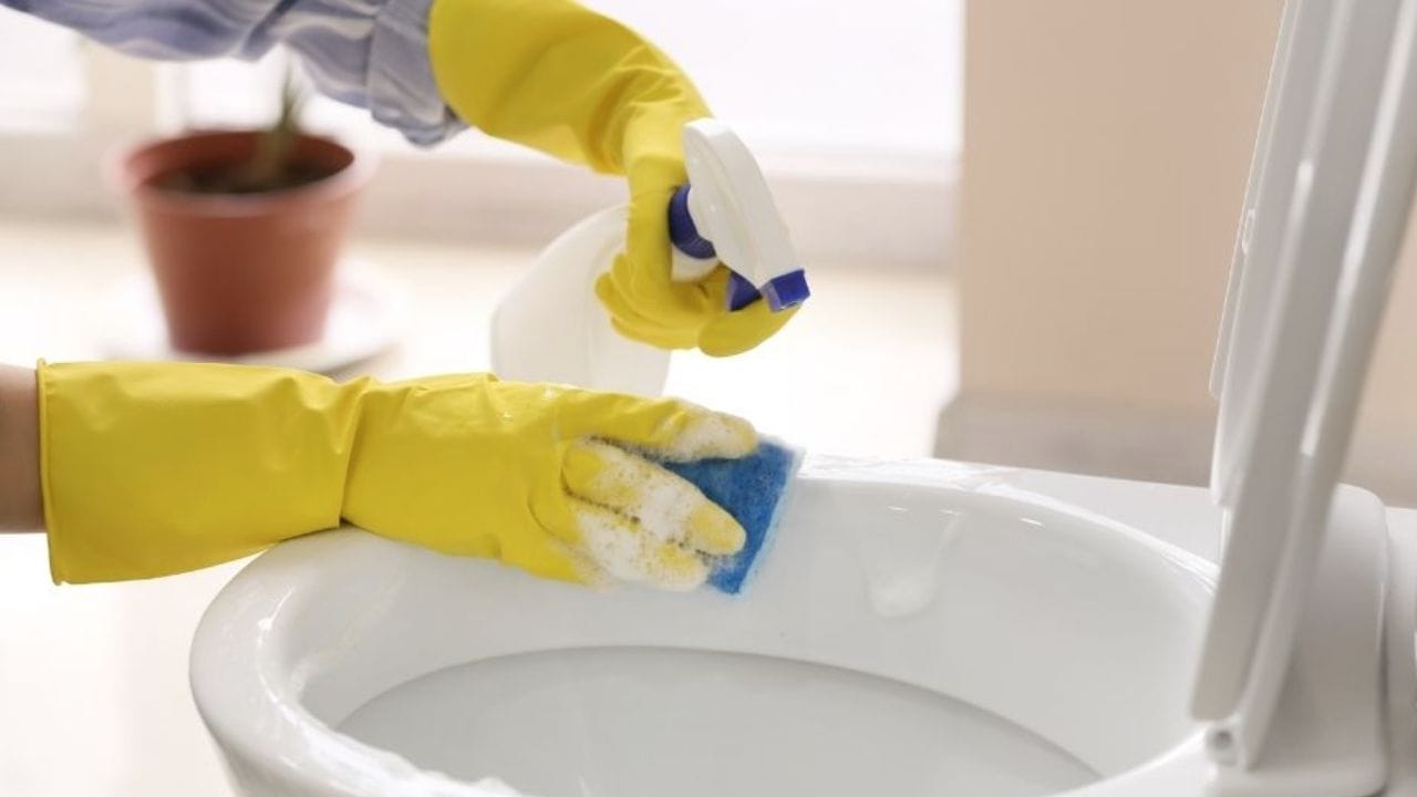 వీటితో టాయిలెట్ ఎలా క్లీన్ చేయాలి: బేకింగ్ సోడా, టూత్ పేస్ట్‌తో టాయిలెట్ క్లీన్ చేసేందుకు ముందుగా మనం   టాయిలెట్ వాటర్‌లైన్ చుట్టూ, టాయిలెట్ సీటుపై బేకింగ్ సోడాను వేసి. ఒక తడి స్పాంజిని తీసుకొని ఈ బేకింగ్ సోడా పొడి బాగా అంటేలా అద్దాలి. దానితో టాయిటెల్ కమోడ్‌ను నెమ్మదిగా స్క్రబ్ చేయాలి ఇలా చేస్తే దుర్వాసన తొలగిపోతుంది.