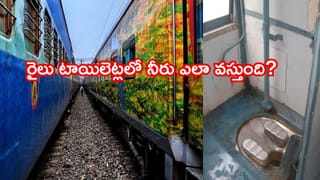 Viral: తెల్లారి గుడికి వచ్చిన అర్చకులు.. ఆలయం బయట నీళ్లు చల్లుతుండగా కనిపించింది చూసి..