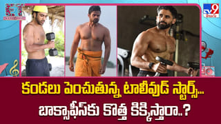 దండయాత్రకు రెడీ అవుతున్న కుర్ర హీరోలు.. ఇక బాక్స్ ఆఫీస్ బద్దలే