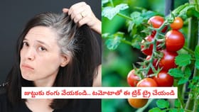 జుట్టుకు రంగు వేయకండి.. టమోటాతో ఈ ట్రిక్ ట్రై చేయండి