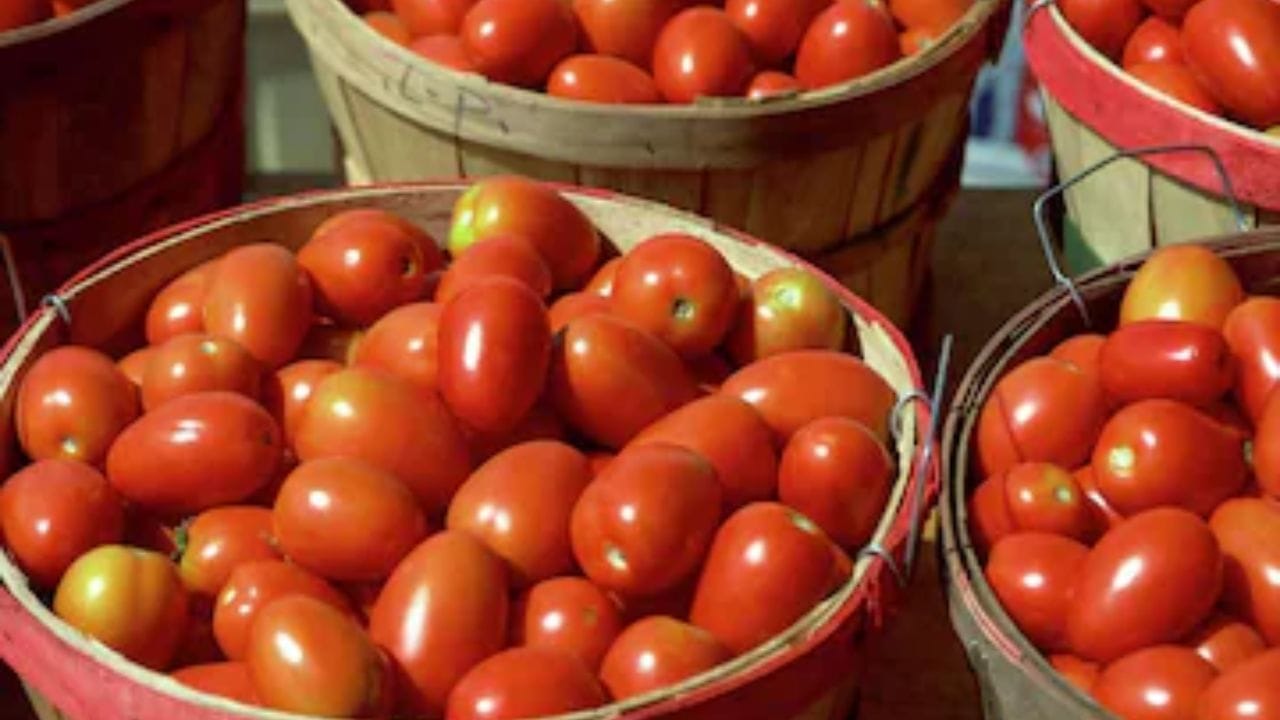 తేమకు దూరంగా ఉంచండి: చాలామంది టమోటాలు మార్కెట్ నుండి తెచ్చిన వెంటనే కడిగి స్టోర్ చేస్తారు. ఇలా చేయడం వల్ల వాటిలో తేమ పెరిగి త్వరగా కుళ్ళిపోతాయి. కాబట్టి టమోటాలను పొడిగా ఉంచడం ముఖ్యం. వాటిని పేపర్ బ్యాగ్‌లో లేదా గాలి ఆడే బుట్టలో ఉంచడం మంది. ఒక వేళ మీరు వంటకు వాడుకోవాలి అనుకుంటే అప్పుడే కడిగి కట్‌చేసుకోండి. 