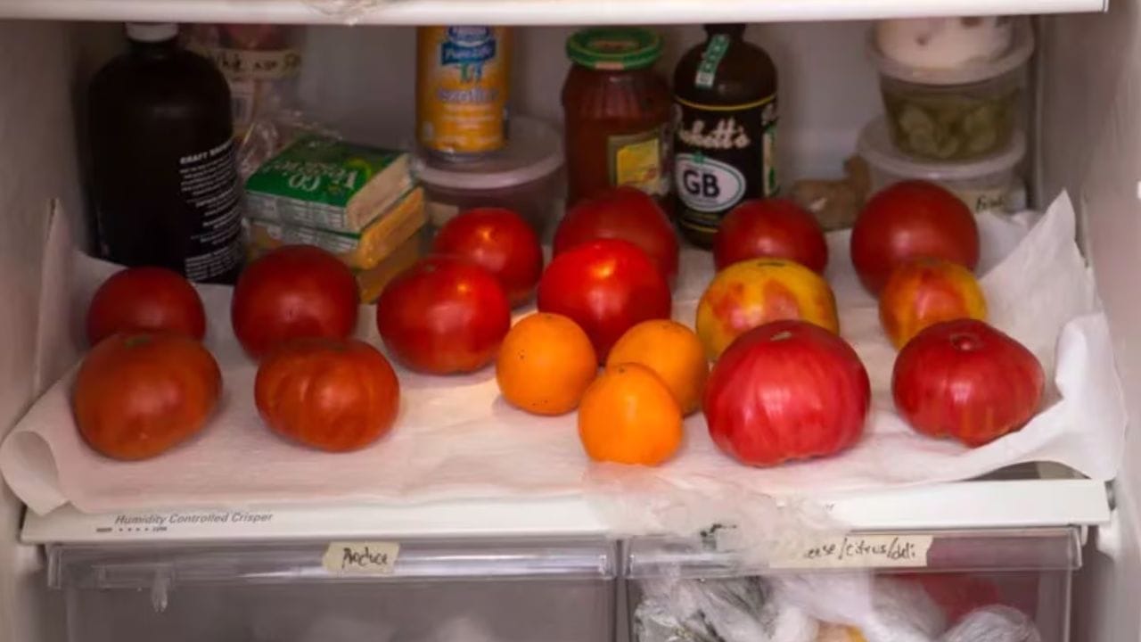 భారతీయ వంటకాల్లో టమోటా లేని వంటను ఊహించుకోవడం కష్టం. కూరల్లో రుచికోసమే కాకుండా, సలాడ్లలో కూడా దీనిని ఎక్కువగా వాడుతుంటారు. అయితే కిలోల కొద్దీ తెచ్చుకున్న ఈ టమోటాలు రెండు మూడు రోజుల్లోనే మెత్తబడి పాడైపోతాయి. ముఖ్యంగా వేసవిలో ఈ ఇబ్బంది ఎక్కువగా ఉంటుంది. మీ టమోటాలు వారం రోజుల పాటు తాజాగా ఉండాలంటే ఈ క్రింది స్మార్ట్ కిచెన్ హ్యాక్స్ పాటించండి