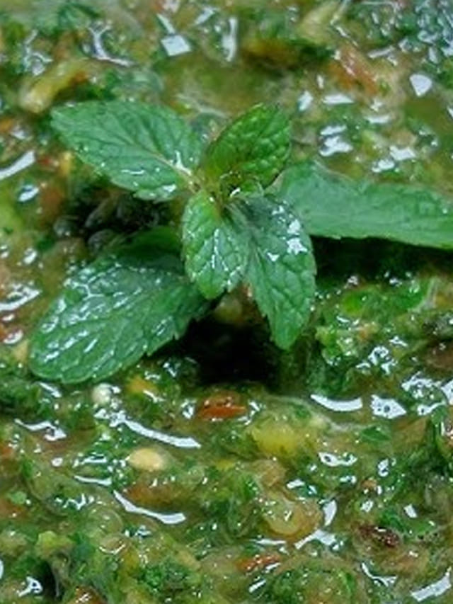 టమోటో పుదీనా చట్నీ.. దోశ, ఇడ్లీల్లోకి అదిరిపోతోంది..