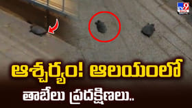 ఆశ్చర్యం !! ఆలయంలో తాబేలు ప్రదక్షిణలు..