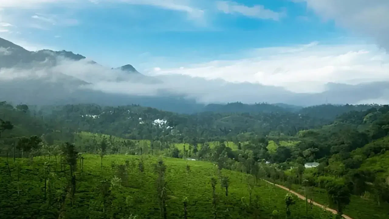 వయనాడ్ – పొగమంచు పర్వత శ్రేణులు, దట్టమైన పచ్చని అడవులతో ప్రసిద్ధి చెందింది. మీరు ప్రశాంత వాతావరణం, జలపాతాలు, సహజ సౌందర్యం అనుభవించాలనుకుంటే వయనాడ్ ఉత్తమ ఎంపిక.
