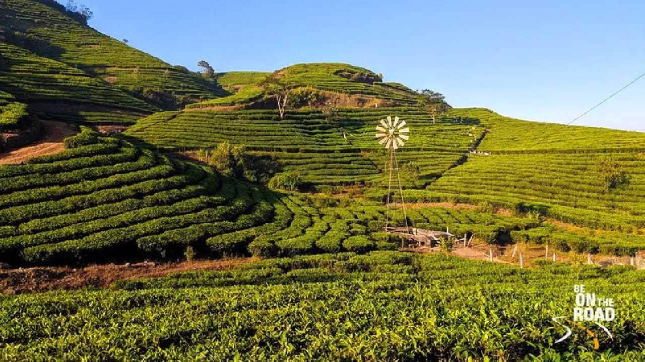 మున్నార్ – తన వనరులతో ప్రసిద్ధి, అందమైన తేయాకు తోటలు, కొండలతో ఆకర్షిస్తుంది. చల్లని వాతావరణం, అందమైన దృశ్యాలు, జంటలు, కుటుంబాల కోసం ఇది ఒక ప్రముఖ గమ్యస్థానం. 
