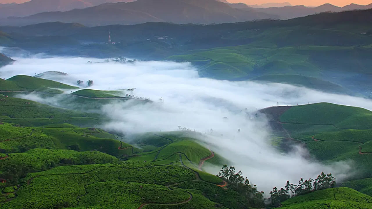 ఇడుక్కి జిల్లా – దట్టమైన అడవులు, కొండ ప్రాంతాలతో ప్రసిద్ధి చెందింది. ఇక్కడ ప్రకృతి రమణీయతను పూర్తిగా ఆస్వాదించవచ్చు. ఇది శాంతి, సాహసం రెండింటిని కలిపిన ఒక ప్రత్యేక అనుభవాన్ని ఇస్తుంది.