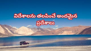 మొక్కలు ఎండిపోతున్నాయా? కేవలం ఎరువు వేస్తే సరిపోదు..! ఈ టిప్స్‌తో మళ్లీ పచ్చగా మార్చండి