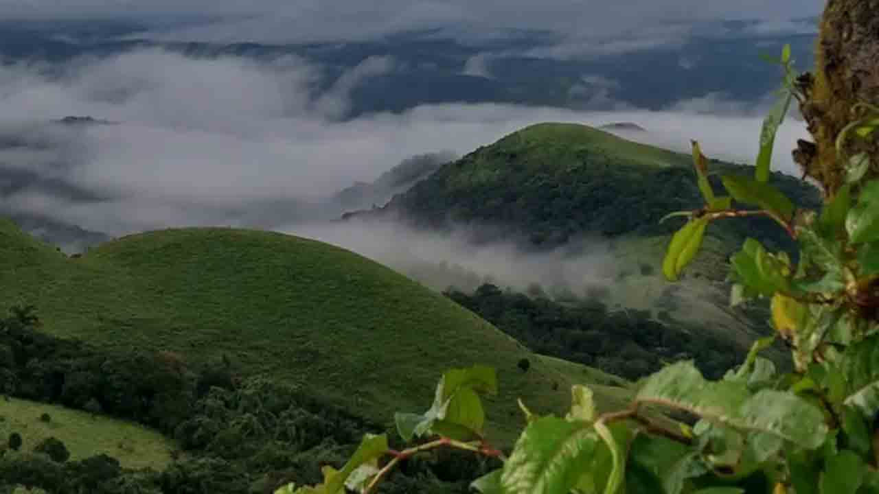 కూర్గ్ కర్ణాటక : అందమైన తేయాకుతోటల్లో కుటుంబ సభ్యులు లేదా స్నేహితులతో ఎంజాయ్ చేయాలి అనుకుంటున్నారా? అయితే మీకు ఇది బెస్ట్ సమయం అని చెప్పవచ్చును. అందమైన ప్రదేశాల్లో కూర్గ్ ఒకటి. కాఫీ, టీ తోటలు, అందమైన కొండలు, పొగమంచుతో చాలా అద్భతంగా ఉంటుంది ఈ ప్రదేశం. ముఖ్యంగా  ఇది మానసిక ప్రశాంతతను అందిస్తుంది.