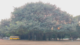 బెండకాయ కూర జిగురు రాకుండా ఉండాలంటే.. ఈ సీక్రెట్ టిప్స్‌ ట్రై చేయండి..! హోటల్ స్టైల్ రుచి