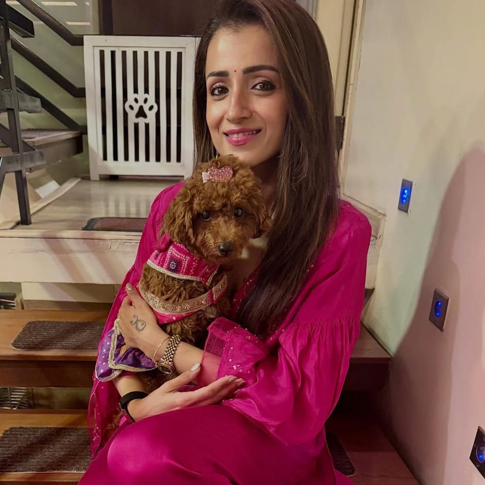 కానీ ఊహించని విధంగా ఆమె సినిమాల్లోకి ఎంట్రీ ఇచ్చింది. మొదట్లో చిన్న చిన్న పాత్రలు చేసిన త్రిష ఆతర్వాత హీరోయిన్ గా మారి మెప్పించింది. మెల్లగా స్టార్ హీరోల సినిమాల్లో ఛాన్స్ లు అందుకొని ఇప్పుడు టాప్ హీరోయిన్ గా ఇండస్ట్రీలో దూసుకుపోతుంది త్రిష.