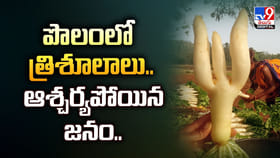పొలంలో త్రిశూలాలు.. ఆశ్చర్యపోయిన జనం..