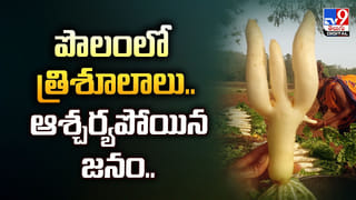 పెళ్లికి 13 రోజుల ముందు విషాదం..