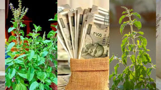 Vastu Tips: ఈ 5 ఫోటోలు మీ ఇంట్లో ఉన్నాయా..? వెంటనే తీసేయండి.. లేదంటే ఉన్న డబ్బంతా ఊడ్చుకుపోతుంది!