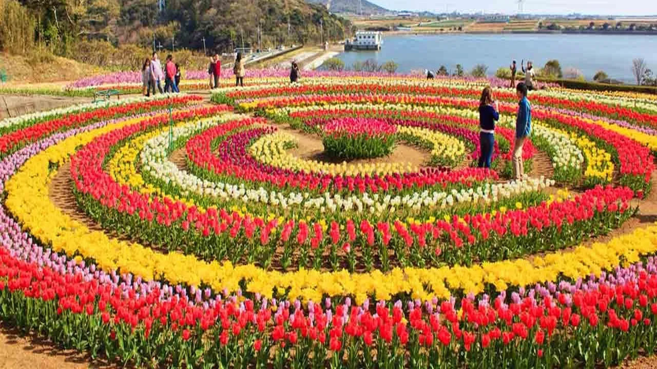 టూర్ టిప్స్.. 

వారాంతాల్లో క్యూలను నివారించడానికి ఆన్‌లైన్ బుకింగ్ చేయండి.
ఉదయం వేళలలో తక్కువగా జనసమూహం ఉంటుంది; సౌకర్యవంతమైన షూస్, సన్‌స్క్రీన్ తీసుకురండి.
దాల్ సరస్సులో షికారా రైడ్‌ను మిస్ కాకండి. 
శ్రీనగర్‌లో వసంత గాలి, రంగురంగుల తులిప్స్, కాశ్మీరీ సాంస్కృతిక మాయాజాలంతో మార్చి 16 నుంచి కాశ్మీర్ తులిప్ ఫెస్టివల్ 2026 మీరు ఎదురుచూస్తున్న స్వప్నాన్ని నిజం చేస్తుంది.