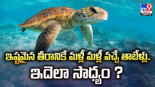 Srisailam: మల్లన్న సన్నిధికి ‘సాష్టాంగ’ యాత్ర..