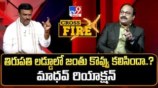 జగన్ అరెస్ట్ ఖాయం.. లిక్కర్ స్కామ్ సూత్రధారుల వేట మొదలైంది.. మాధవ్ సంచలన కామెంట్స్..