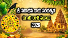 పరాభవ నామ సంవత్సరం ఏ రాశుల వారికి లాభం? ఏ రాశుల వారికి నష్టం?