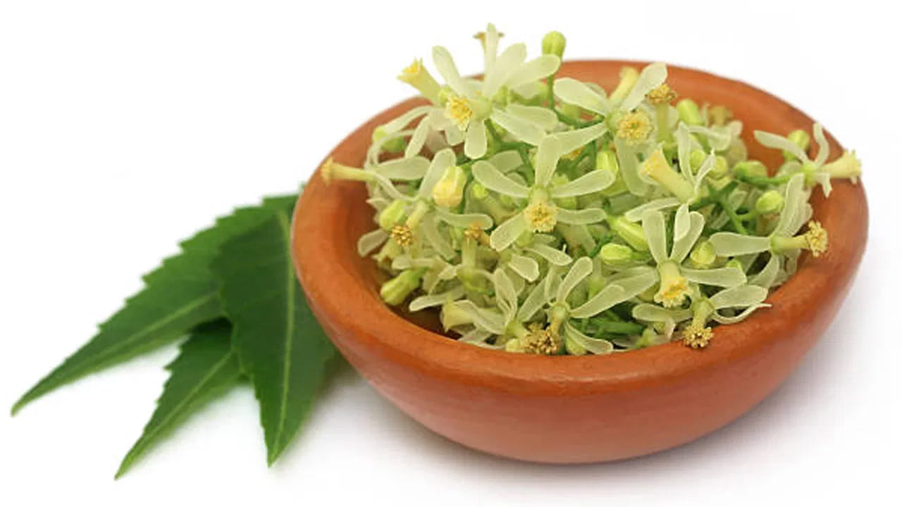 అలా మనిషి అతడి మనస్సు సిద్ధ మవ్వాలంటే చేదు, పులుపు, వగరు వంటి పదార్ధాలను స్వీకరించాలి. అయితే జీవితం షడ్రుచుల సమ్మేళనం అనే కాదు వైద్య పరంగానూ వేప పువ్వు, ఆకులను తీసుకోవటం వల్ల ఈ కాలం లో మనిషి పై దాడి చేసే క్రిముల నుంచి రక్షణ దొరుకుతుంది. వేప యాంటీబయాటిక్ అనేది పూర్వమే పెద్దలు గుర్తించి ఆహారంలో తీసుకోమని చెప్పారు.