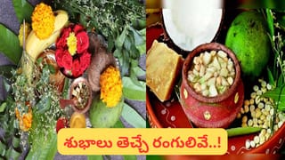 ఎగ్ ఎడ్లీ చేస్తారని మీకు తెలుసా..? ఇలా చేస్తే అబ్బో టేస్ట్ అద్భుత: