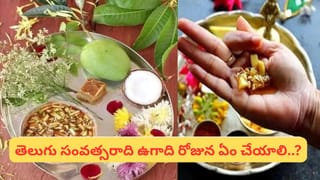 శ్రీవారి దర్శన జూన్ స్లాట్స్ విడుదల: ఇప్పుడు మీ దర్శన టికెట్‌ను బుక్ చేసుకోండి.. పూర్తి వివరాలు ఇక్కడ!