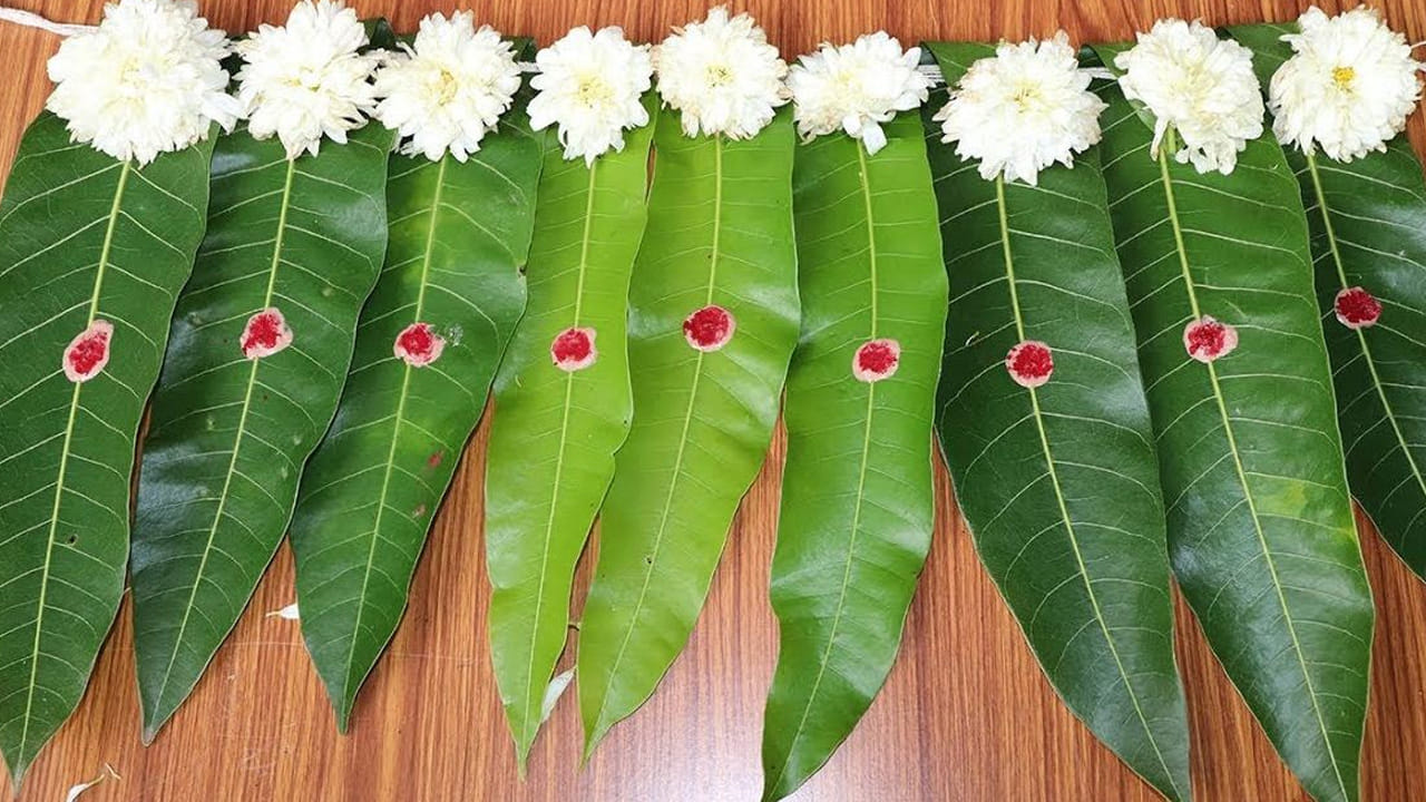 శాస్త్రీయ పరంగా కూడా ఈ తోరణాలు కట్టడం వెనుక అనేక కారణాలు ఉన్నాయి. తోరణాలు శుభప్రదమైనవి. అంతేకాకుండా, వృక్షశాస్త్రం ప్రకారం, ఇవి చెట్టు నుంచి తీసిన తర్వాత చాలా సేపటి వరకు ఆక్సిజన్ ఉత్పత్తి చేసే లక్షణాన్ని కలిగి ఉంటాయి. అయితే పూర్వం కుటుంబంలో ఏవైనా శుభకార్యాలు జరిగే సమయంలో ఎక్కువ మంది గుమి గూడే వారు. దాదాపు నలభై నుంచి, యాభైవరకు మంది గుంపులుగా ఒకే చోట చేరేవారంట.