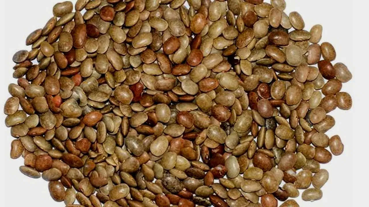 ఉలవలను (Horse Gram) చాట్లు, వడలు వంటి ఎన్నో రకాల వంటకాలను చేసుకోవచ్చు. అలాగే.. నానబెట్టి లేదా ఉడికించి, మొలకలుగా, చారుగా, లేదా పొడి రూపంలో తీసుకోవడం ఉత్తమం. ఇంకా రాత్రంతా నానబెట్టిన ఉలవలను ఉదయం పరగడుపున తినడం లేదా ఉలవచారు, గుగ్గిళ్లుగా చేసుకోవడం మంచిదని పేర్కొంటున్నారు డైటీషియన్లు... 