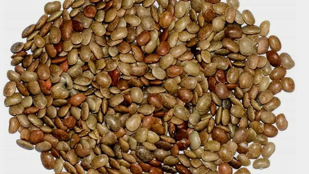 ఉలవలను (Horse Gram) చాట్లు, వడలు వంటి ఎన్నో రకాల వంటకాలను చేసుకోవచ్చు. అలాగే.. నానబెట్టి లేదా ఉడికించి, మొలకలుగా, చారుగా, లేదా పొడి రూపంలో తీసుకోవడం ఉత్తమం. ఇంకా రాత్రంతా నానబెట్టిన ఉలవలను ఉదయం పరగడుపున తినడం లేదా ఉలవచారు, గుగ్గిళ్లుగా చేసుకోవడం మంచిదని పేర్కొంటున్నారు డైటీషియన్లు... 