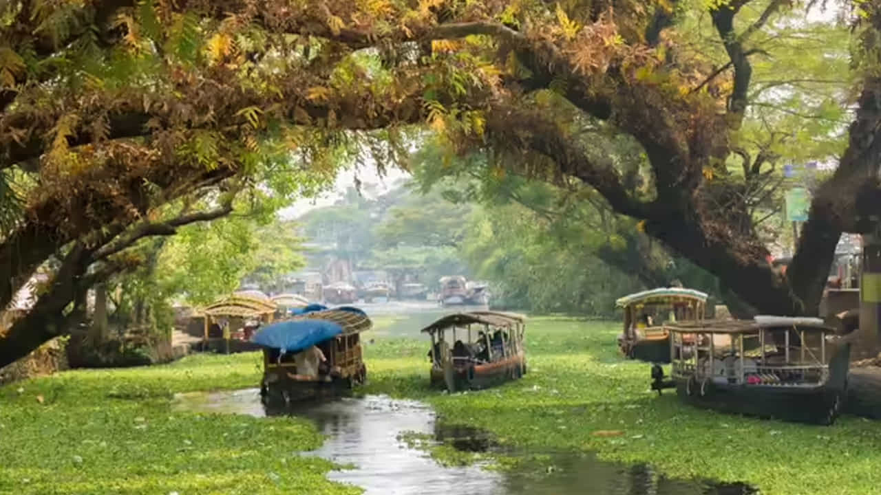 ఆలేప్పి, కేరళ (Venice of the East): కేరళలోని బ్యాక్ వాటర్స్, హౌస్ బోట్ ప్రయాణం ఇటలీలోని వెనిస్ నగరాన్ని గుర్తు చేస్తాయి. కాలువల గుండా సాగే ప్రయాణం ఎంతో ప్రశాంతంగా ఉంటుంది.