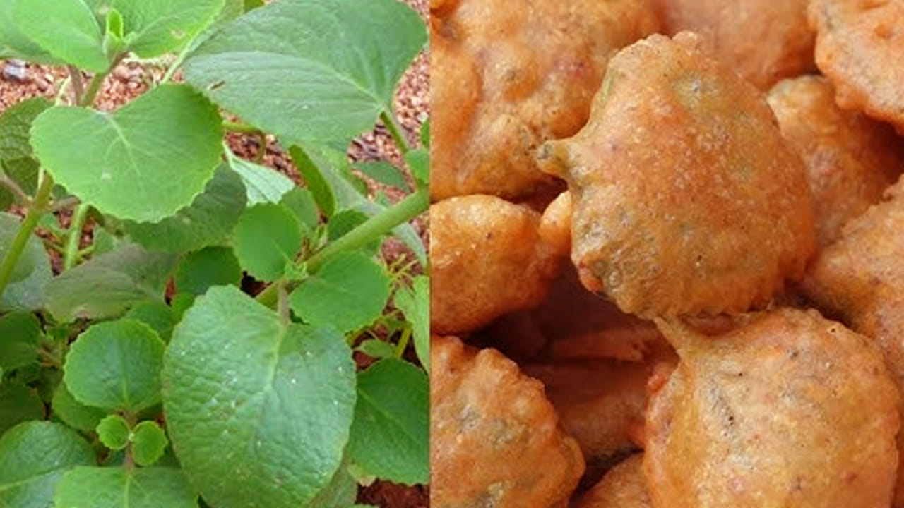 ఇక ఇప్పుడు స్టవ్ వెలిగించి ఆయిల్ వేసి అది వేడయ్యాక  పిండిని తీసుకుని  పకోడీలుగా వేసి గోల్డ్ కలర్ లోకి మారే వరకు  బాగా వేయించాలి. 