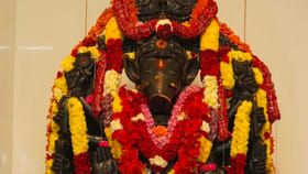 కాకినాడ జిల్లా కరపలో ఘనంగా వారాహిమాత విగ్రహ ప్రతిష్టాపన