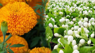 ఏప్రిల్ నెలలో పుట్టిన వారి వ్యక్తిత్వం ఇదే.. ఆ విషయంలో వీరే గ్రేట్