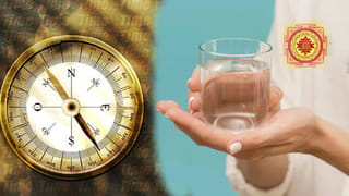 ఈ చెట్టు కనపడితే అస్సలు వదలకండి.. డయాబెటిస్ నుండి లివర్ వరకు..అన్నీ సమస్యలను మాయం చేసే మిరాకిల్ ట్రీ!