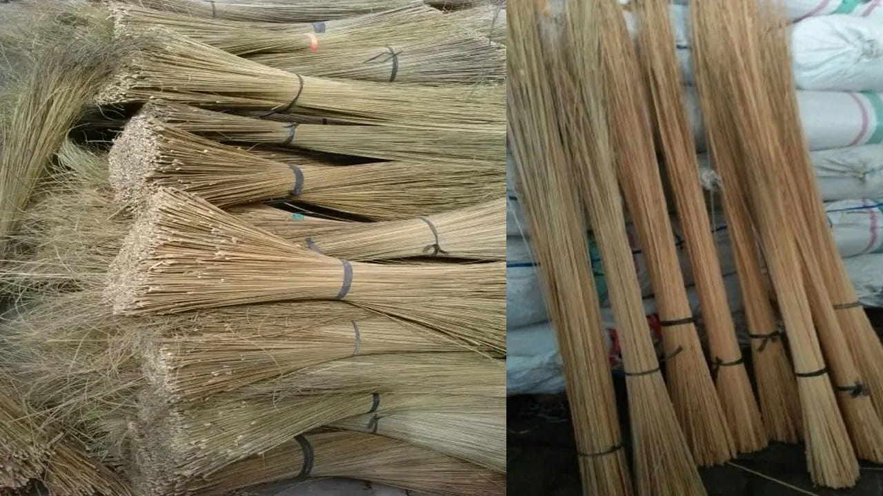 ఈ రోజుల్లో చాలా మంది వాస్తును చాలా మంది నమ్ముతారు. ఇప్పటికి చాలా మంది ఇల్లు కట్టేటప్పుడు వాస్తు చూసే ఇంటిని నిర్మిస్తుంటారు. అయితే, ఇంట్లో చెత్త బుట్ట, చీపురు కట్టను లక్ష్మి దేవి ప్రతీకలుగా చెబుతుంటారు. కాబట్టి, ఇవి మన ఇంట్లో చాలా ముఖ్యమైన వస్తువులు.
