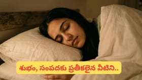 మీ ఇంట్లో డబ్బు నిలవట్లేదా? ఈ 4 వస్తువులు దిండు కింద పెట్టుకుంటే