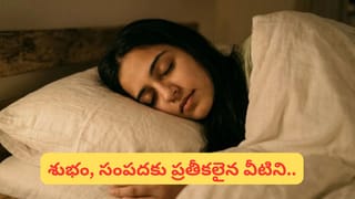 మీ ఇంట్లో డబ్బు నిలవట్లేదా? ఈ 4 వస్తువులు దిండు కింద పెట్టుకుంటే అదృష్టం మారుతుంది!