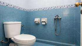 బాత్‌రూమ్ మిమ్మల్ని ధనవంతులను చేస్తుంది.. ఈ రహస్యాలు పాటిస్తే..