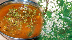 తమిళనాడు ఫేమస్ వేప పువ్వు రసం.. ఇలా చేసి తింటే, ఆరోగాలన్నీ పరార్!