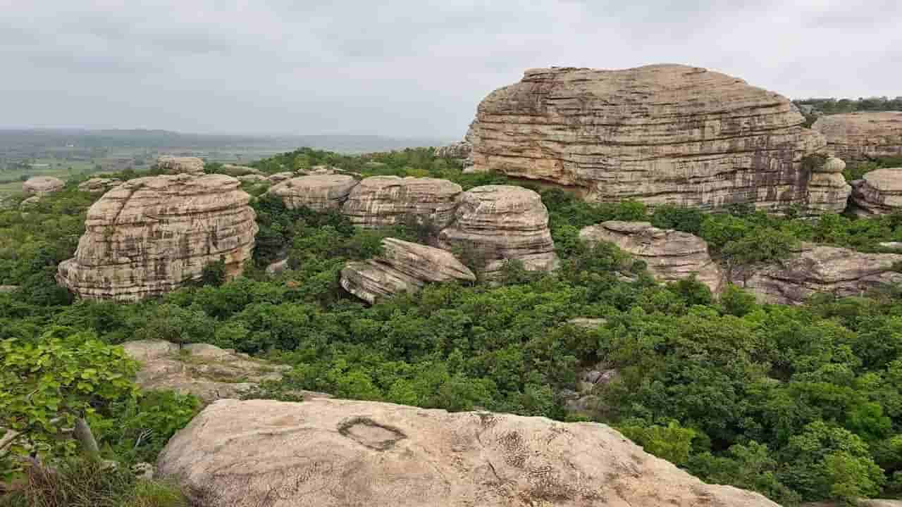 కొన్నేళ్లుగా బండరాయి అనుకొని అలా వదిలేశారు.. తీరా తవ్వి చూస్తే మైండ్ బ్లాక్..!