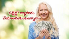 పల్లెల్లో వ్యాపారం చేయాలనుకుంటున్నారా? రూ.20,000 పెట్టుబడితో టాప్