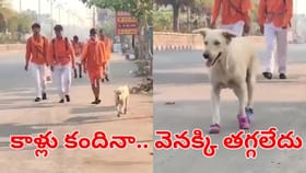 జస్ట్ ఒక్క బిస్కెట్ వేసినందుకు..130 కి.మీ వెంట నడిచిన శునకం